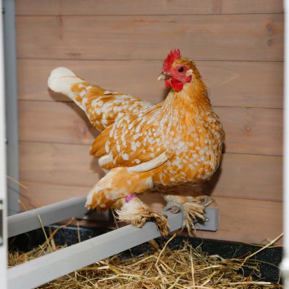 Anelli a clip per la numerazione laser