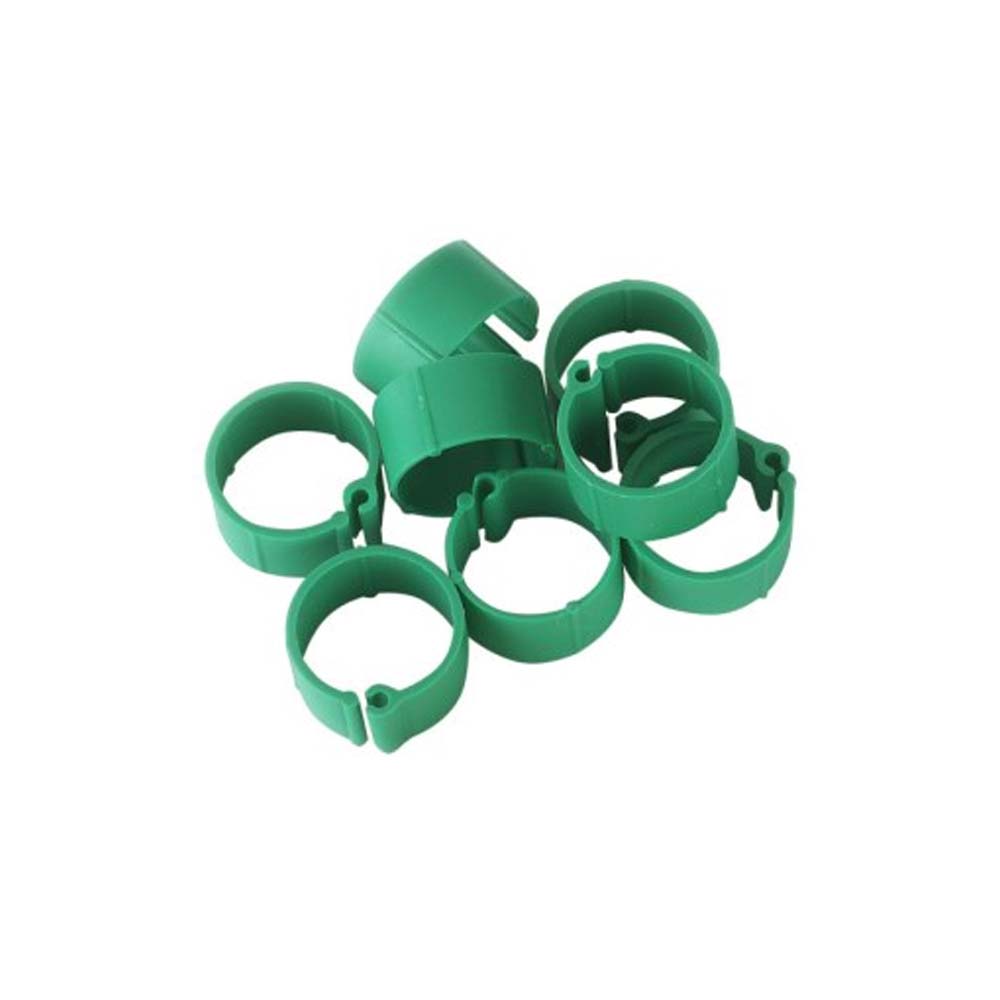 anelli identificazione pollame