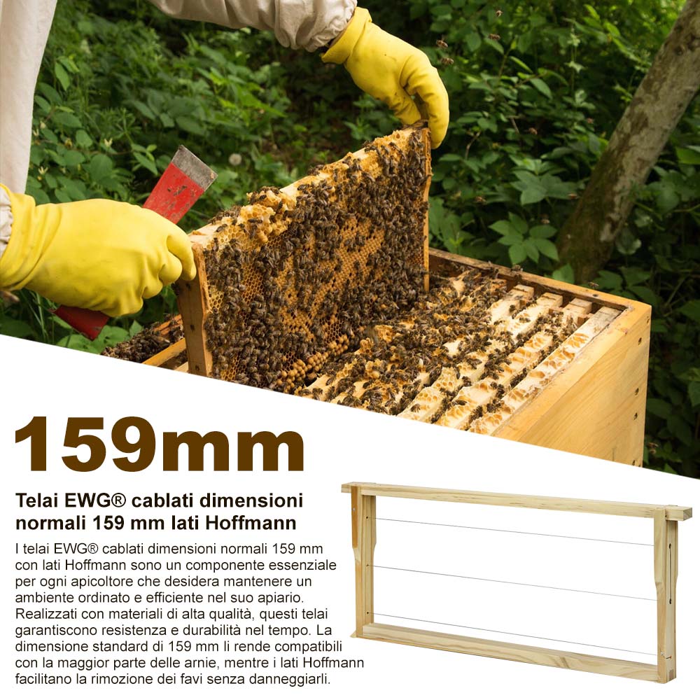 Confezione da 25 telai in legno