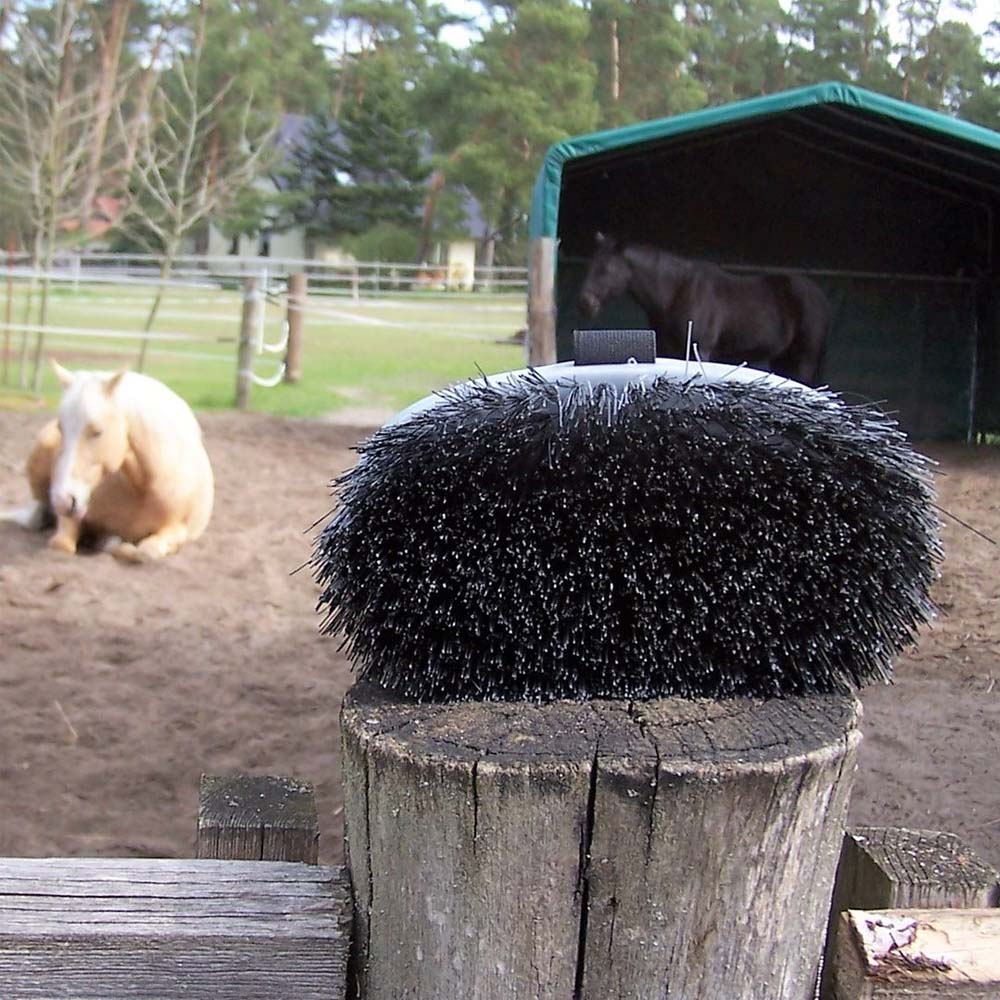 Spazzola cavallo Groovy con setole morbide e cinghia elastica