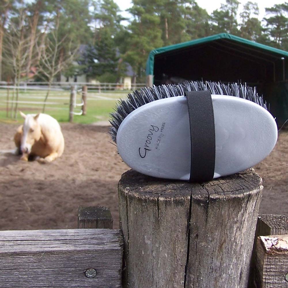 Spazzola cavallo Groovy con setole morbide e cinghia elastica