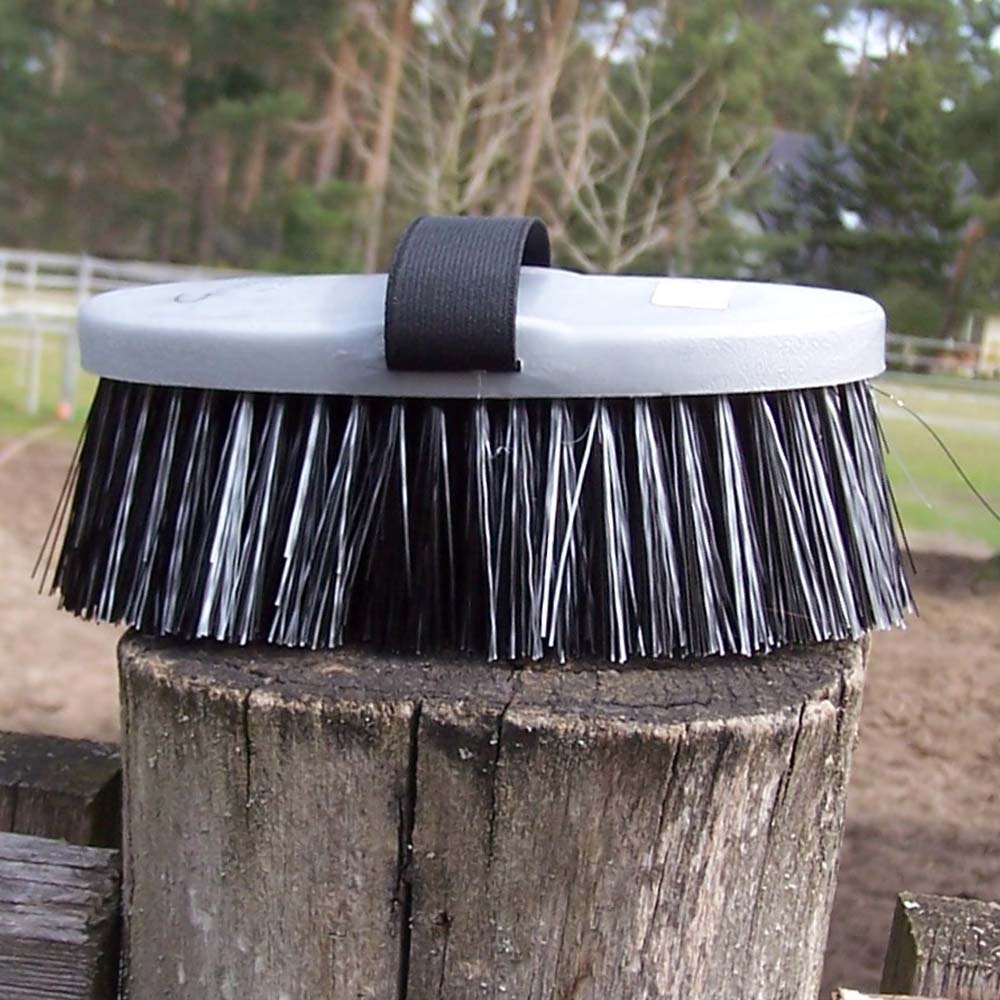 Spazzola cavallo Groovy con setole morbide e cinghia elastica