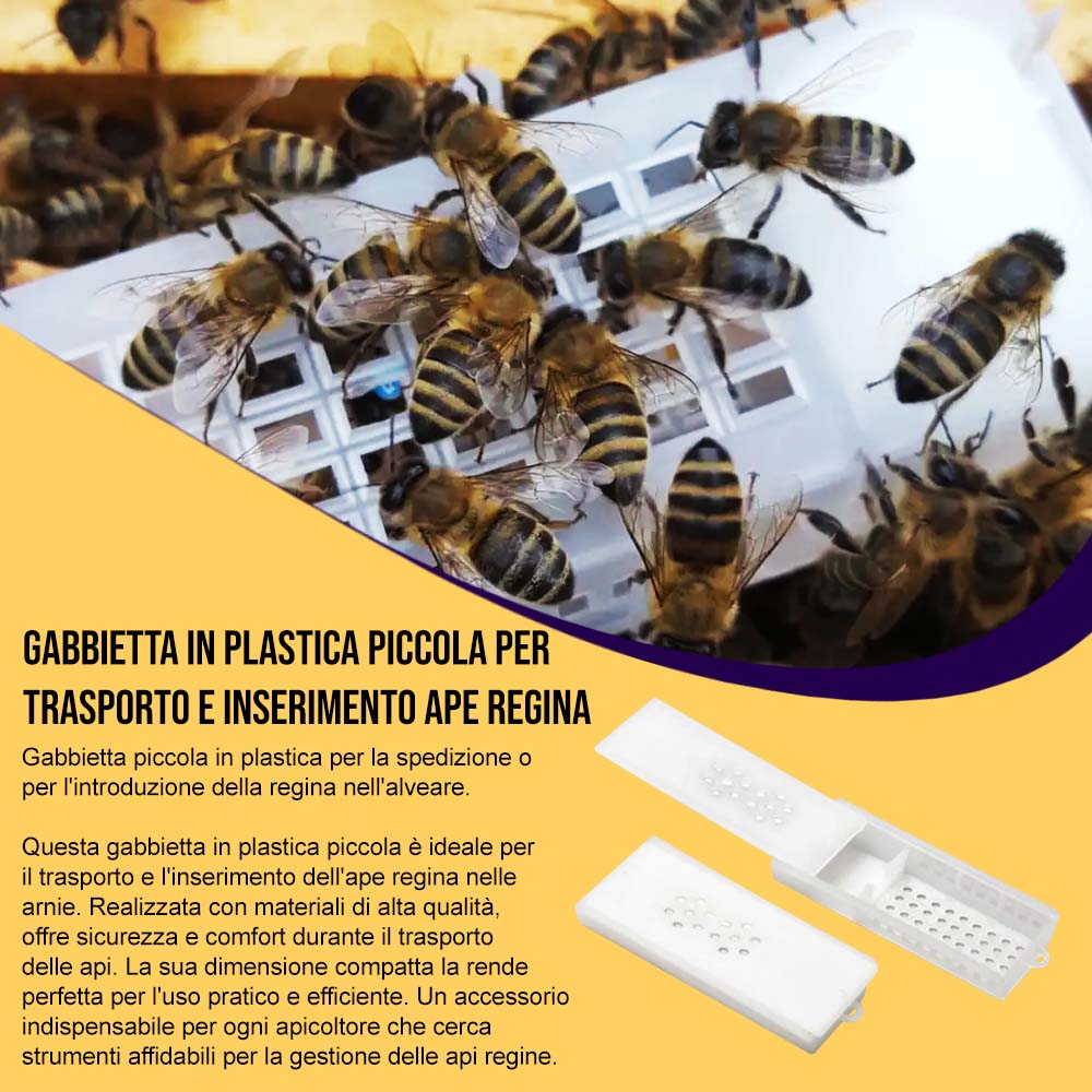 Gabbietta in plastica Piccola per Trasporto e Inserimento Ape Regina