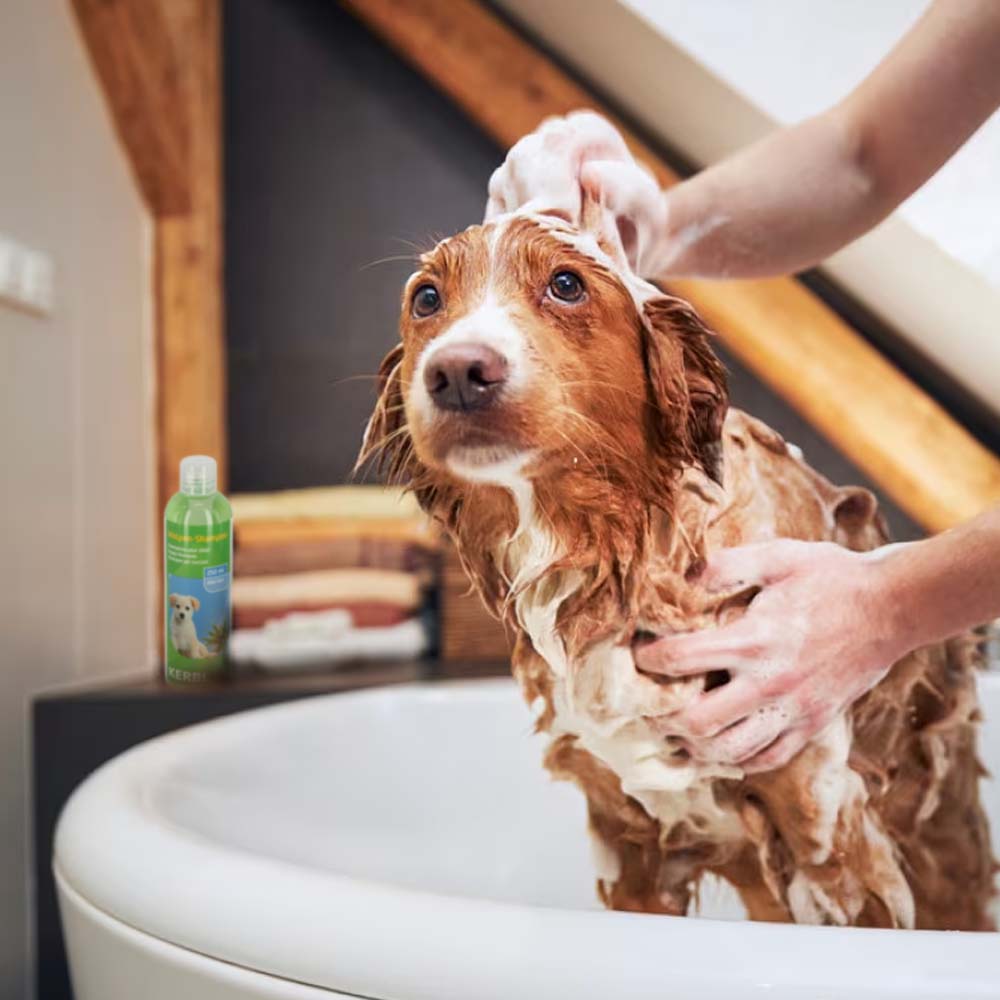 Shampoo Delicato Per Cuccioli Con Aloe Vera
