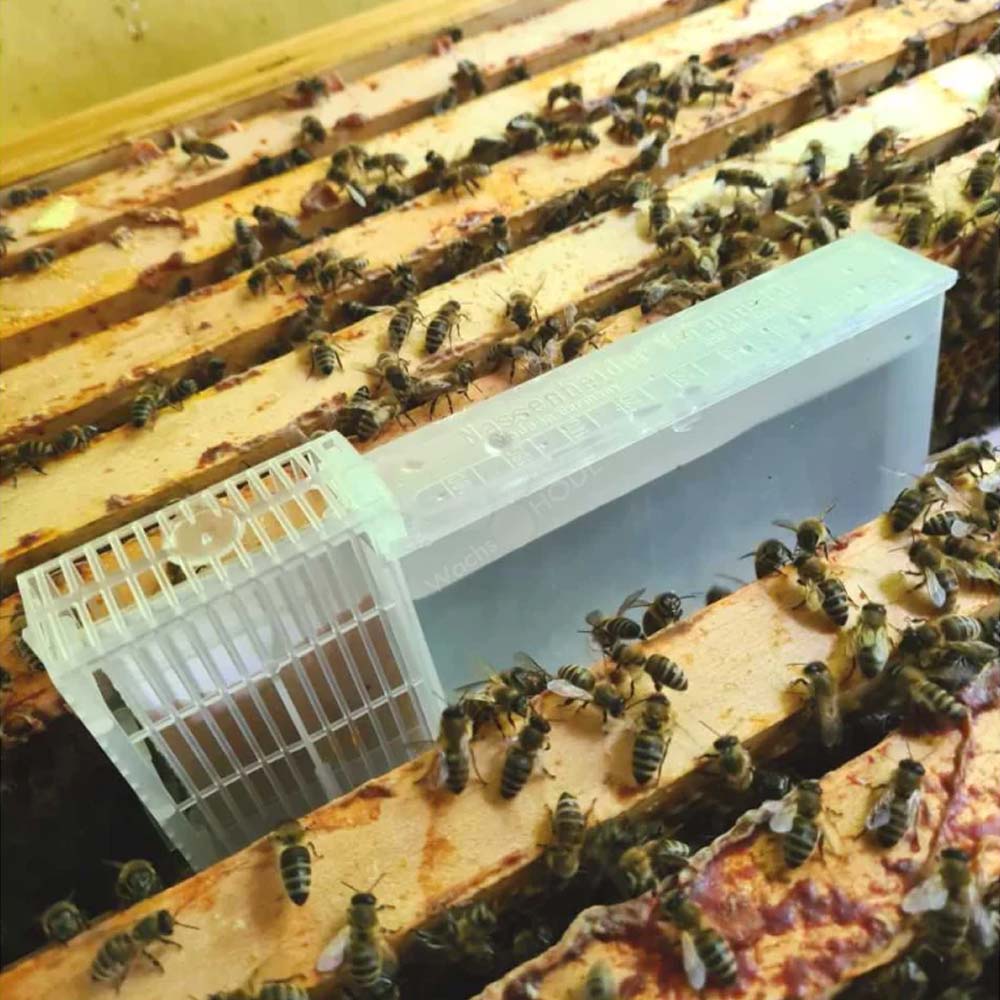 Evaporatore Nassenheider per acido formico 200ml