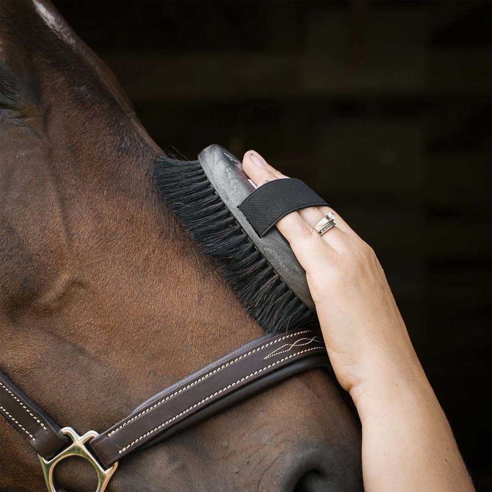 MiniDolly Brusca per cavalli setole sintetiche