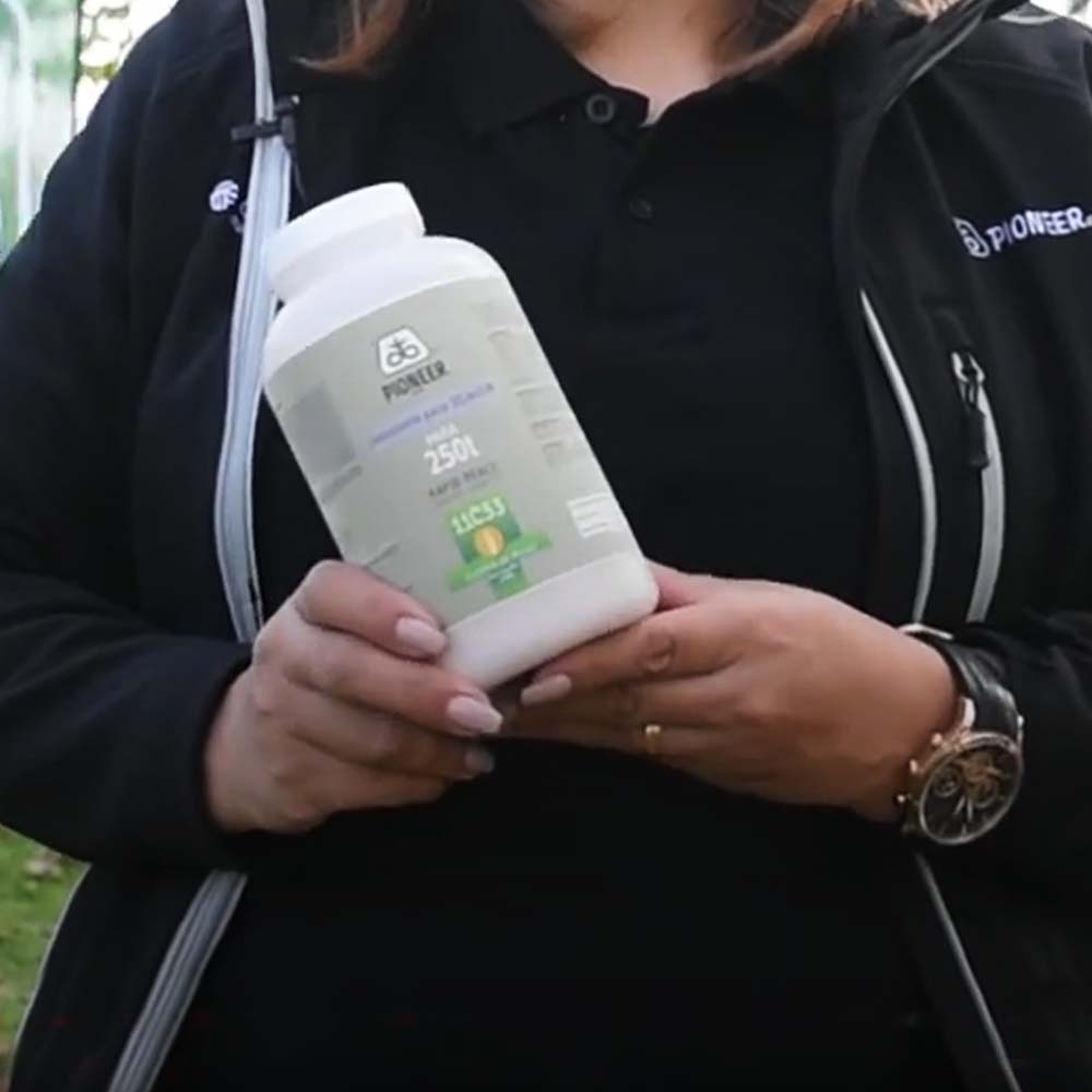 Additivi insilati Pioneer 11A44