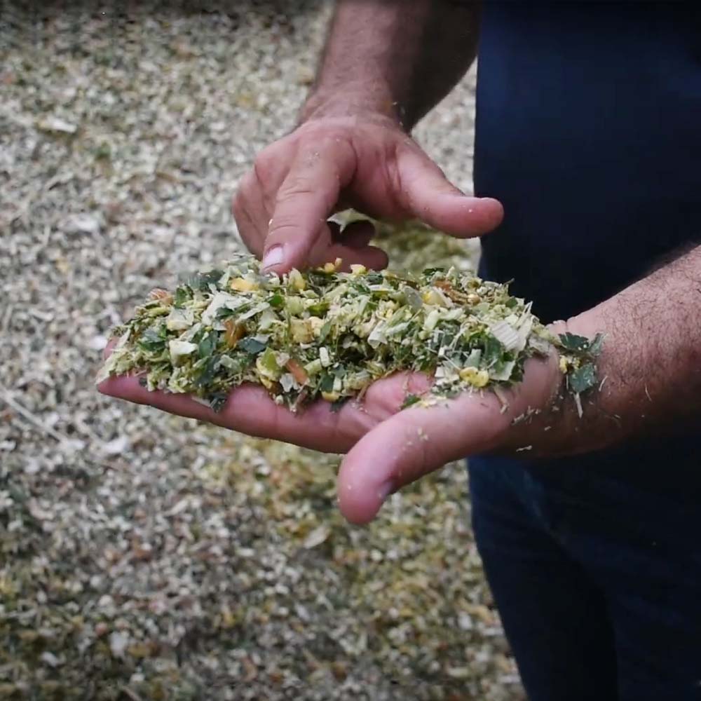 Additivi insilati Pioneer 11A44