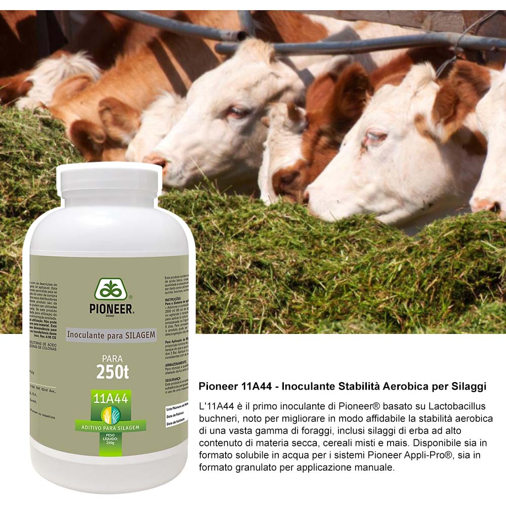 Additivi insilati Pioneer 11A44