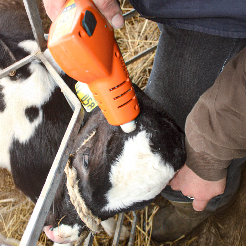 Decornatore a batteria "Horn Up" – Decornazione per vitelli senza stress