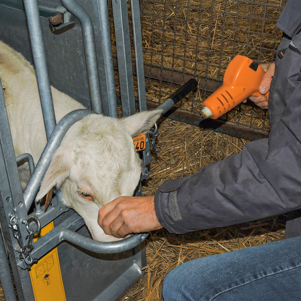 Decornatore a batteria "Horn Up" – Decornazione per vitelli senza stress