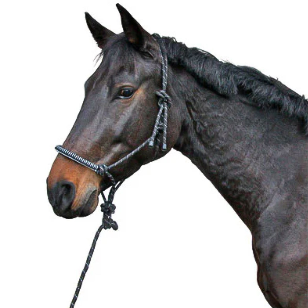 Cavezza per cavallo in corda