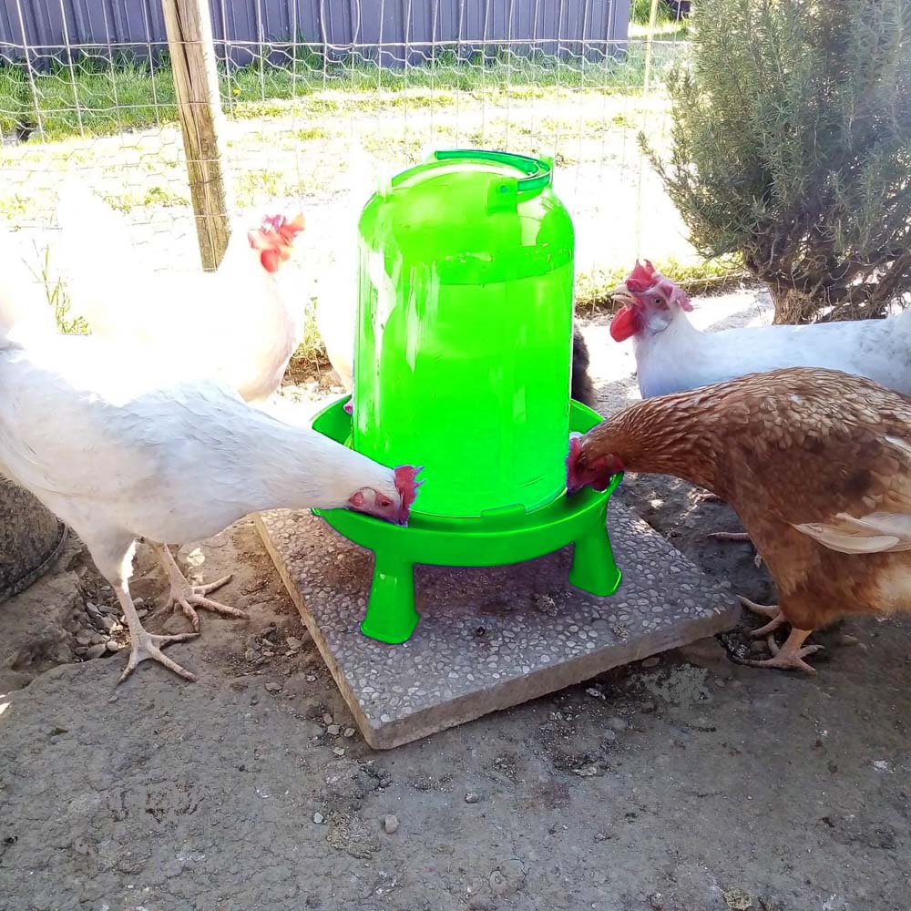 Abbeveratoio per polli Eco 8 L. Con gambe e colore verde limone
