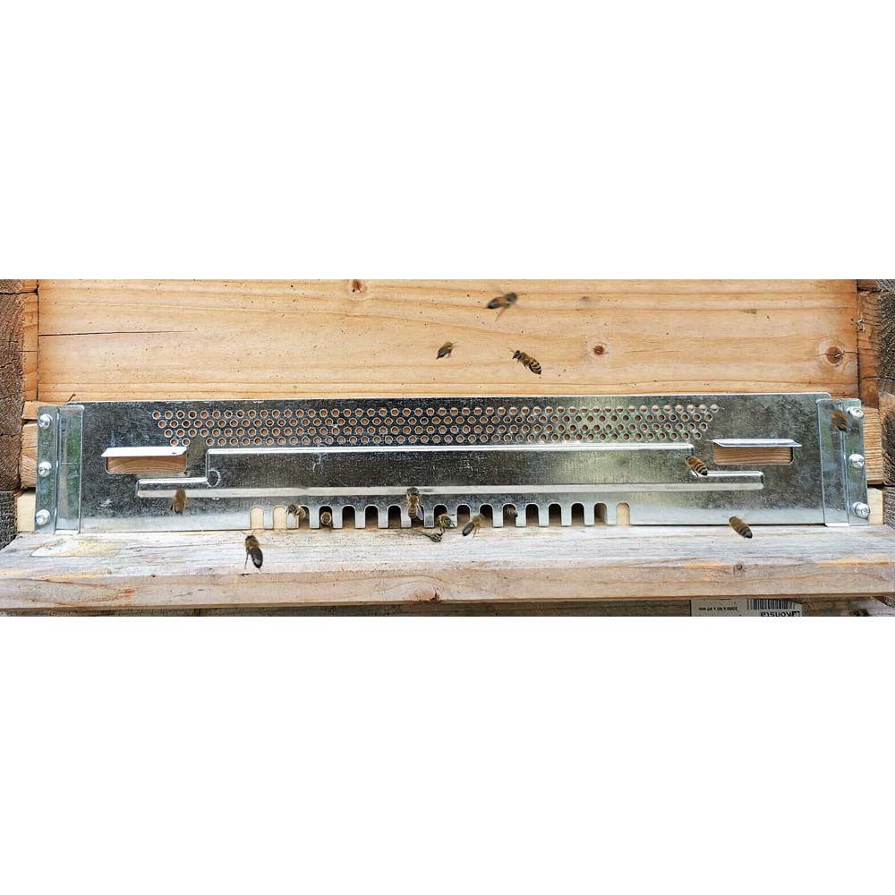 Serranda foro ingresso zincata