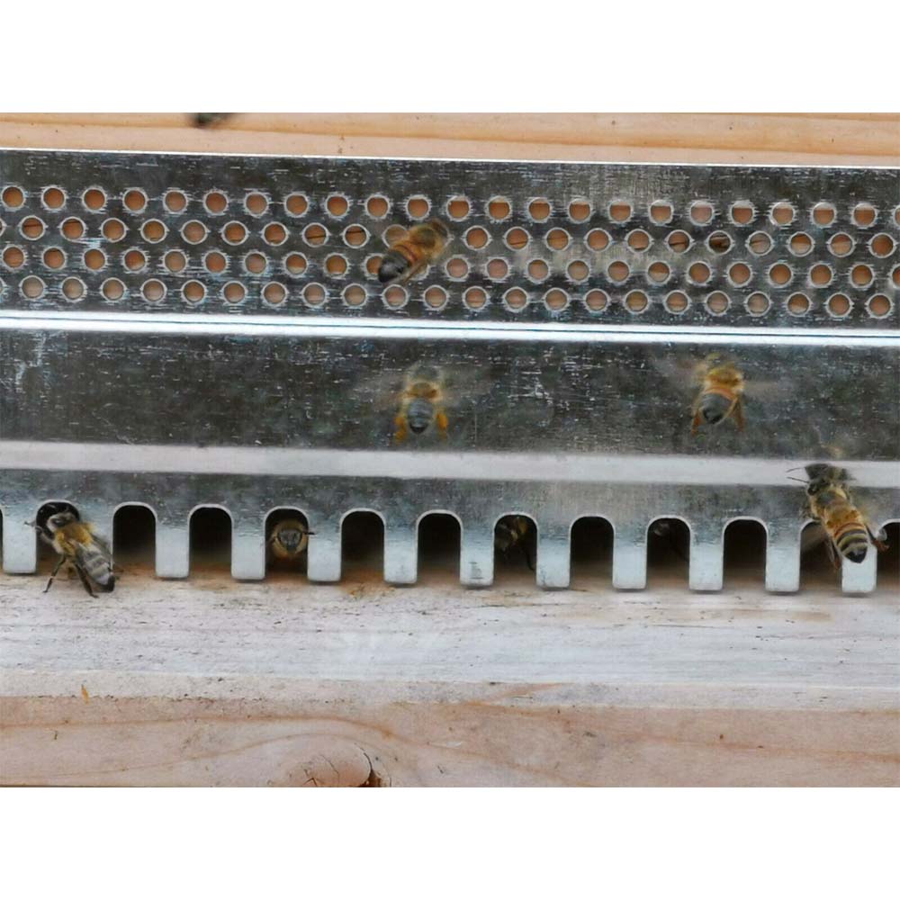 Serranda foro ingresso zincata