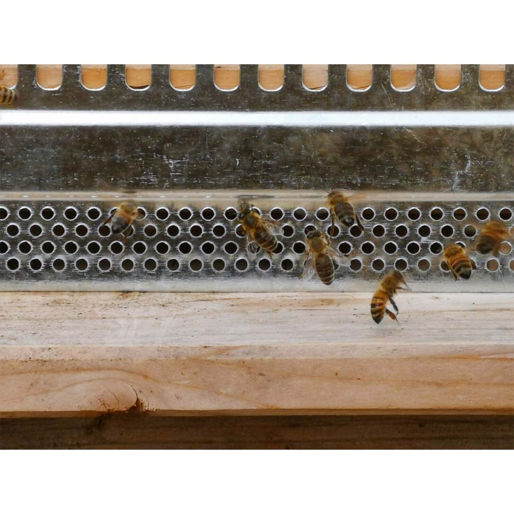 Serranda foro ingresso zincata