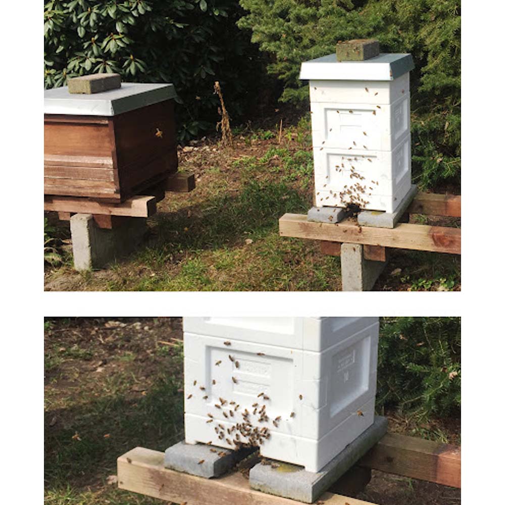 Telaio Mini Plus Styropor