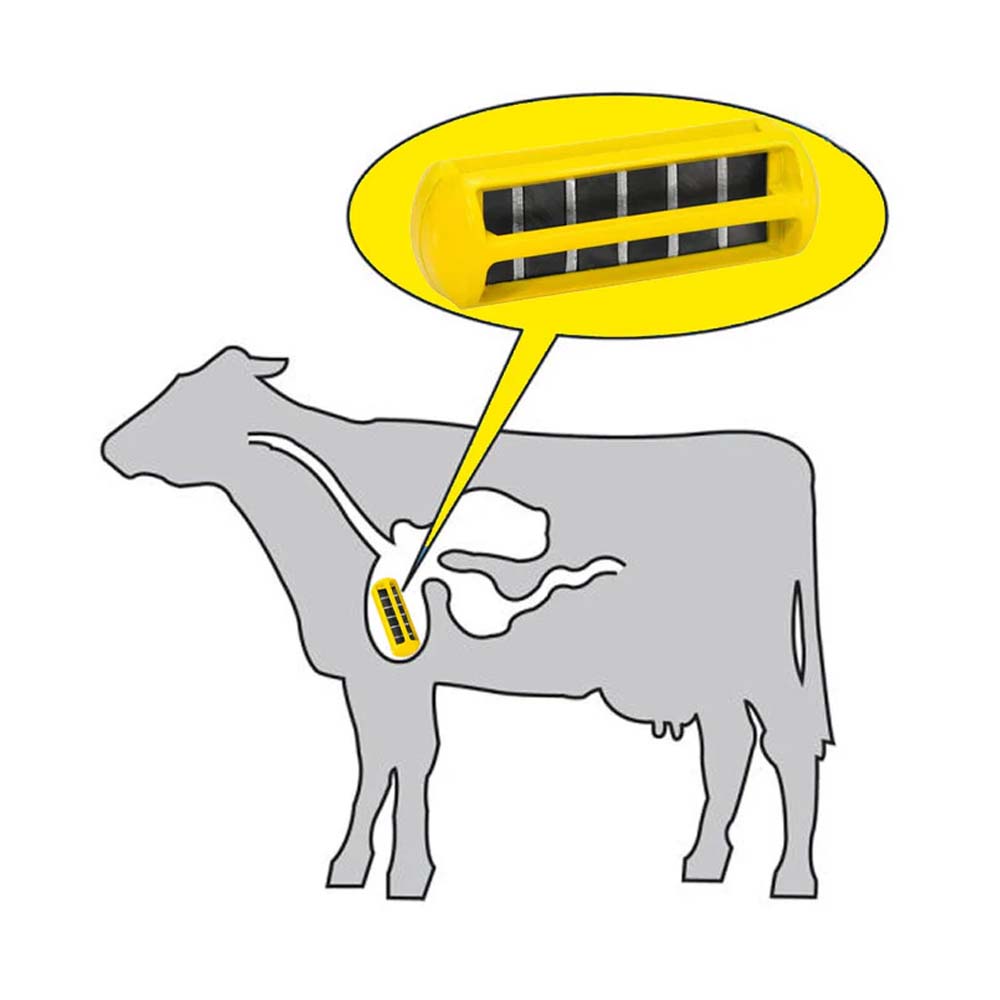 Magnete ruminale forte per i corpi dei bovini terapeutici e profilattici per le malattie