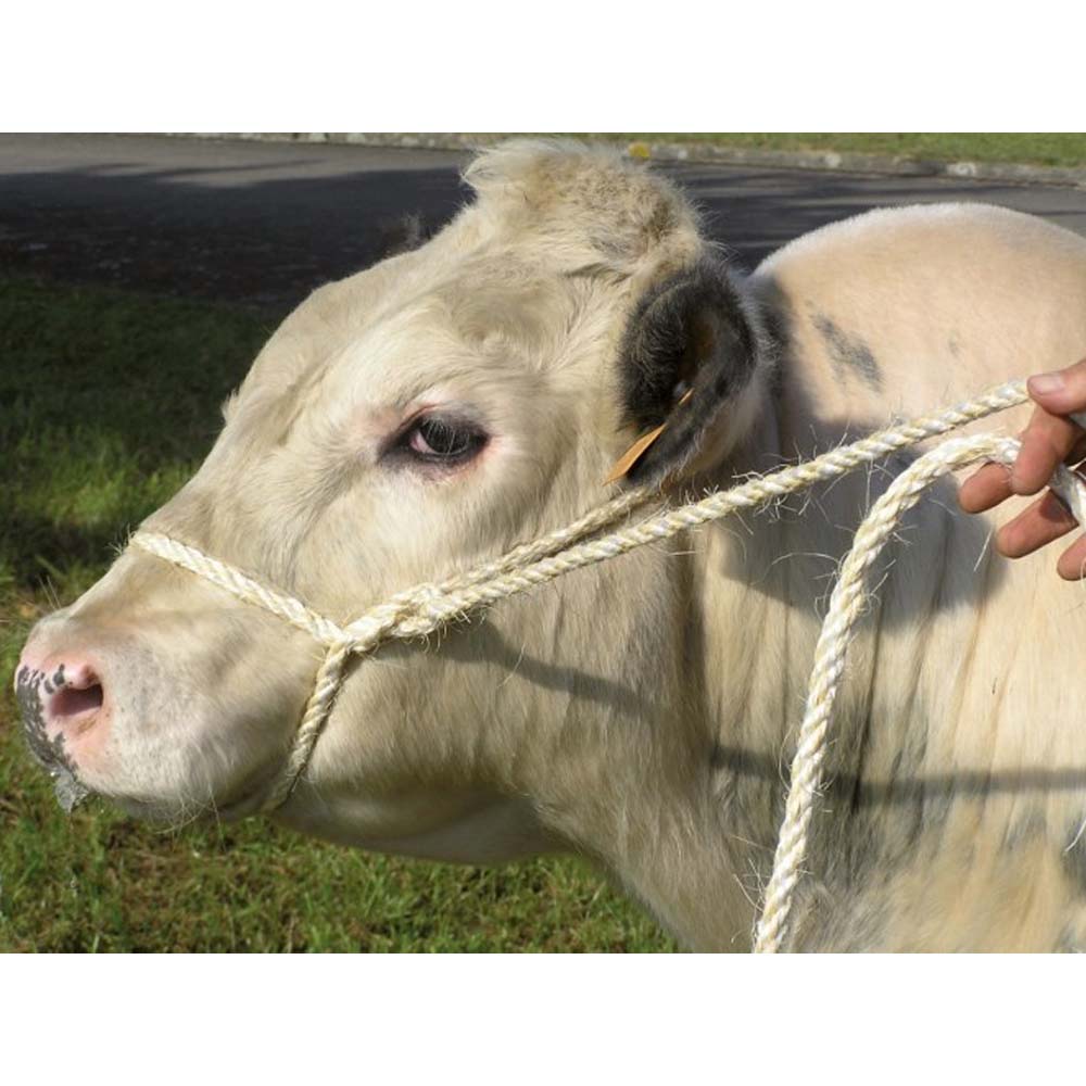 Corda Trasporto Bestiame