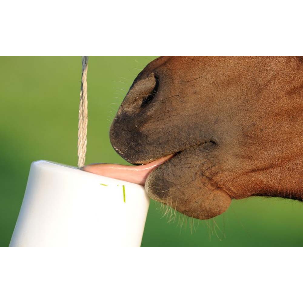 Blocco Fitover Enerphyt 5 kg