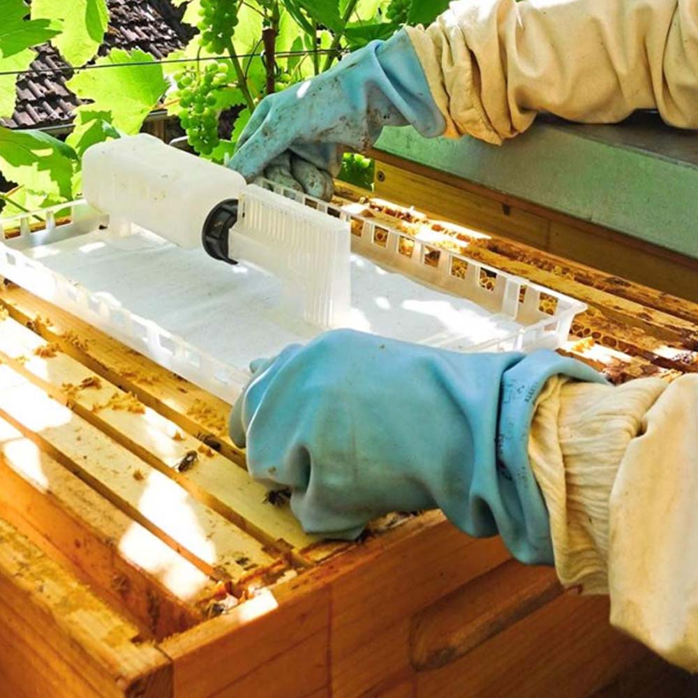 Stoppini a U di ricambio per evaporatore Professional