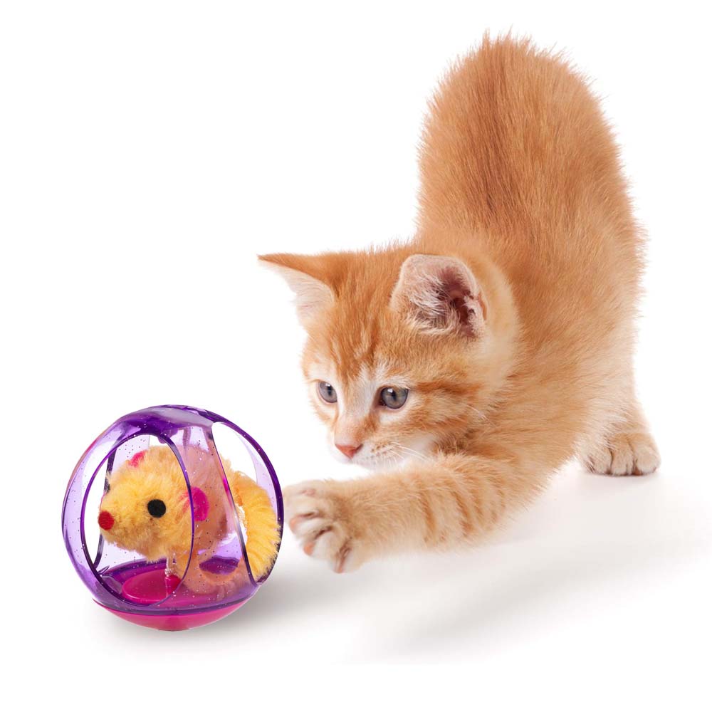 PA 5214 Giocattolo per gatti in plastica e peluche