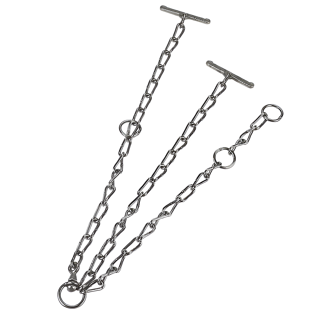 Catena semplice da legare per animali: Ideale per capre, vitelli e mucche