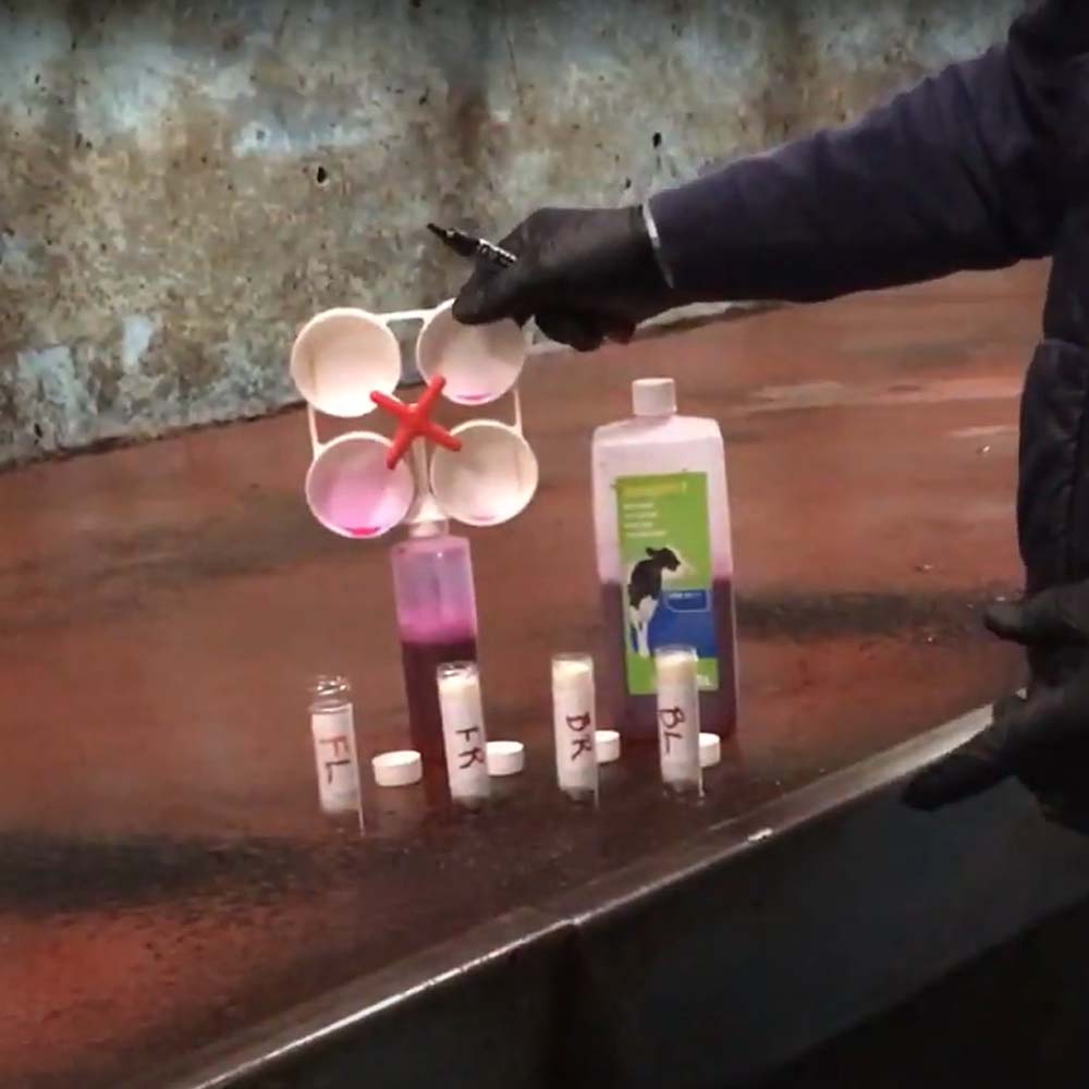 Paletta per eseguire il test