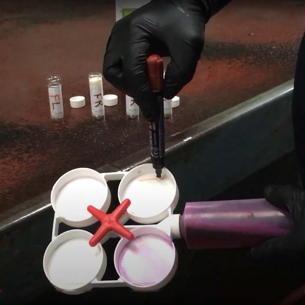 paletta per test mastite bovina shoof