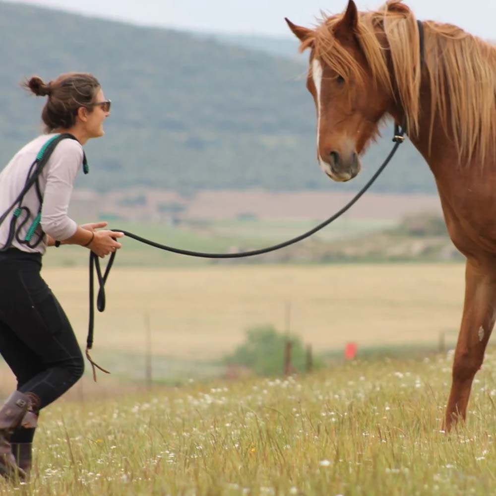 Corda da lavoro a terra 4,2 m