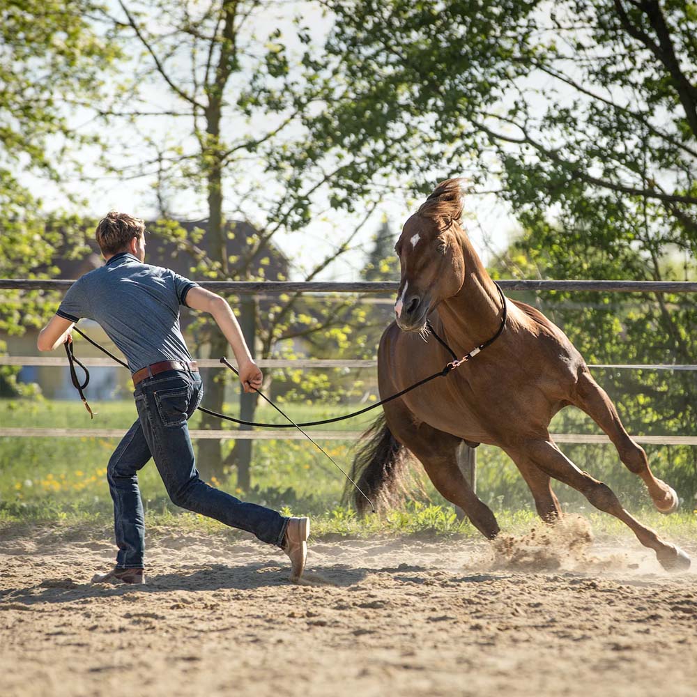 Corda da lavoro a terra 4,2 m