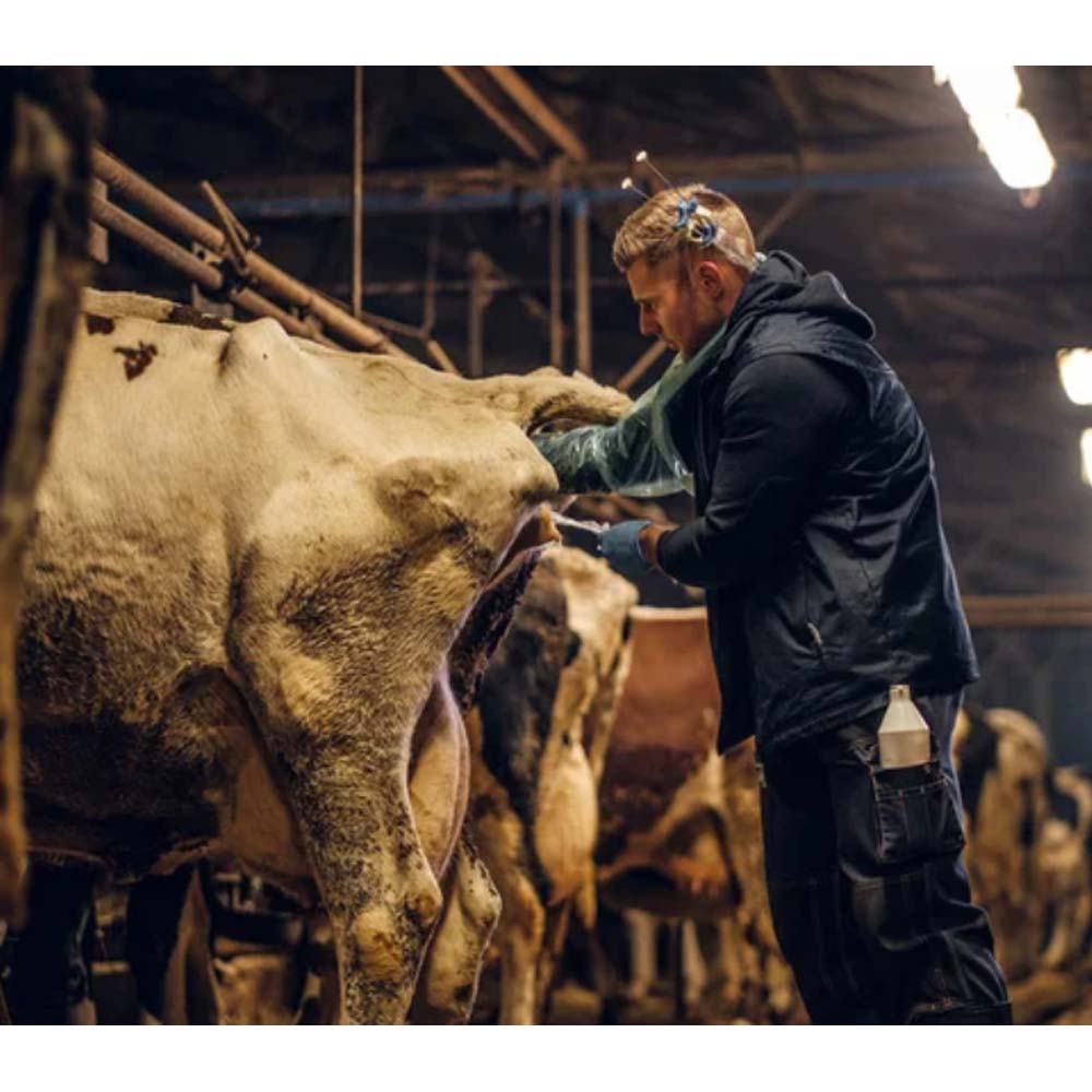 Guanto Veterinario Monouso Vettop Con Protezione Spalla