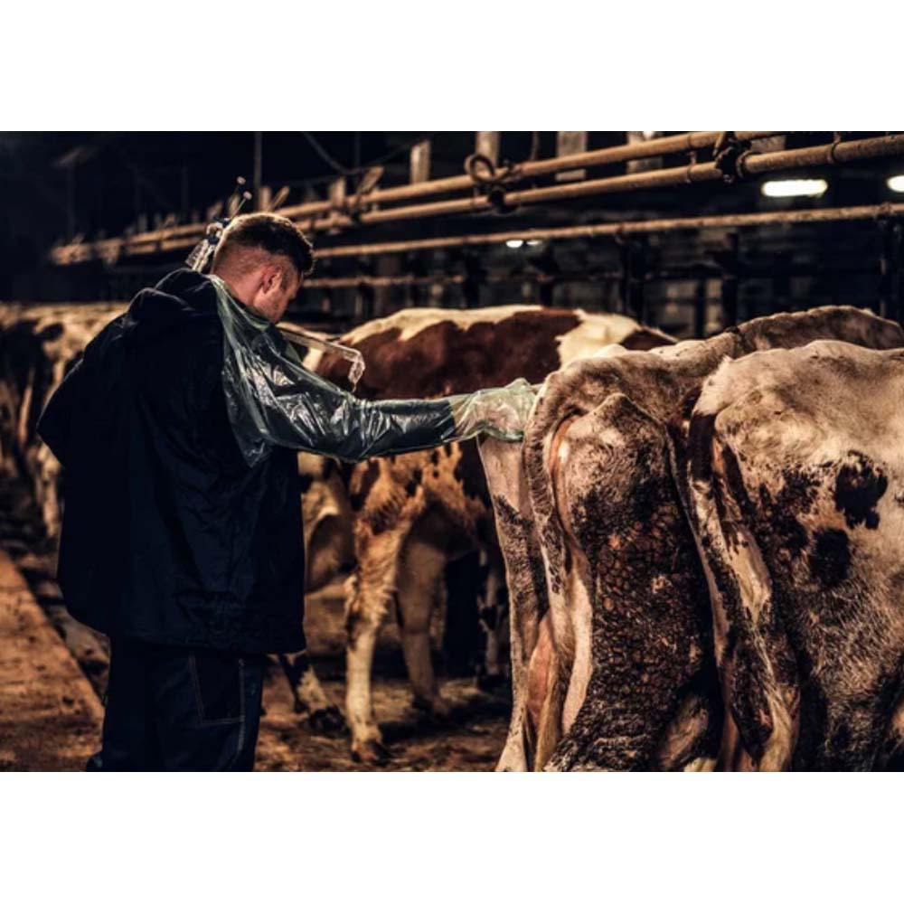 Guanto Veterinario Monouso Vettop Con Protezione Spalla