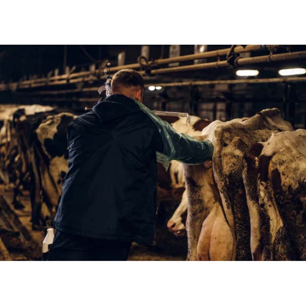 Guanto Veterinario Monouso Vettop Con Protezione Spalla