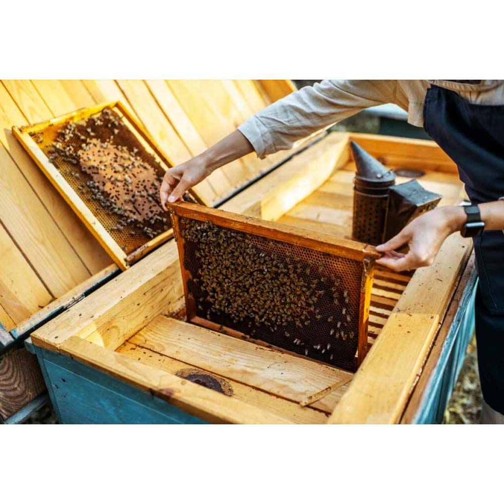 Telai EWG per fienile