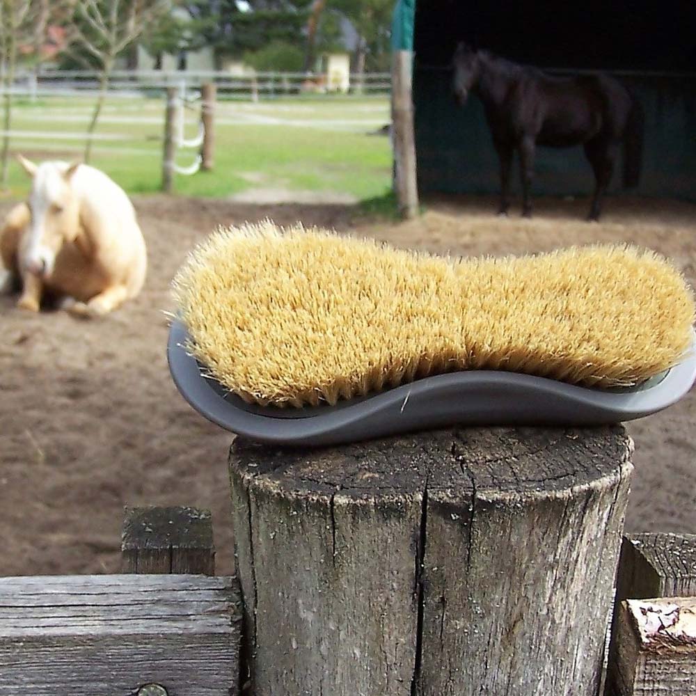 Oster spazzola per Shine e Cuddly plastica