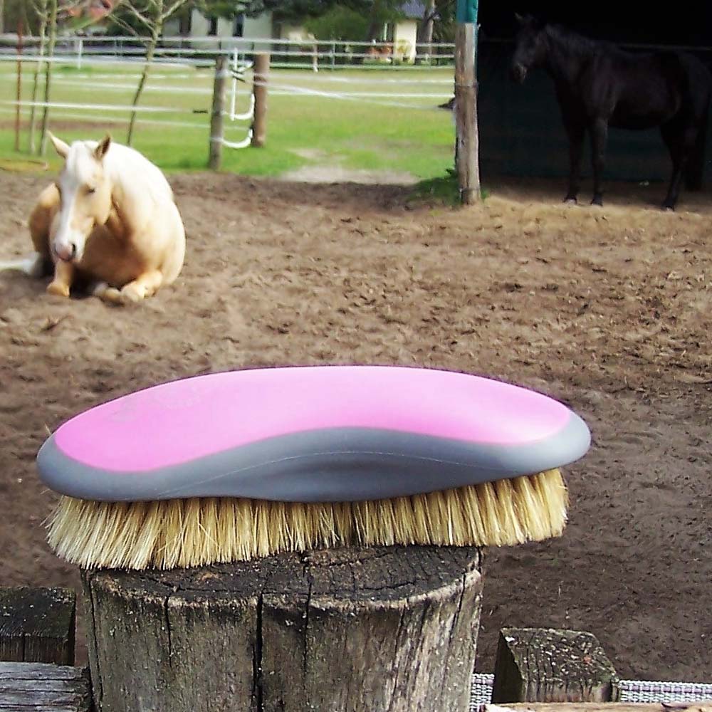 Oster spazzola per Shine e Cuddly plastica