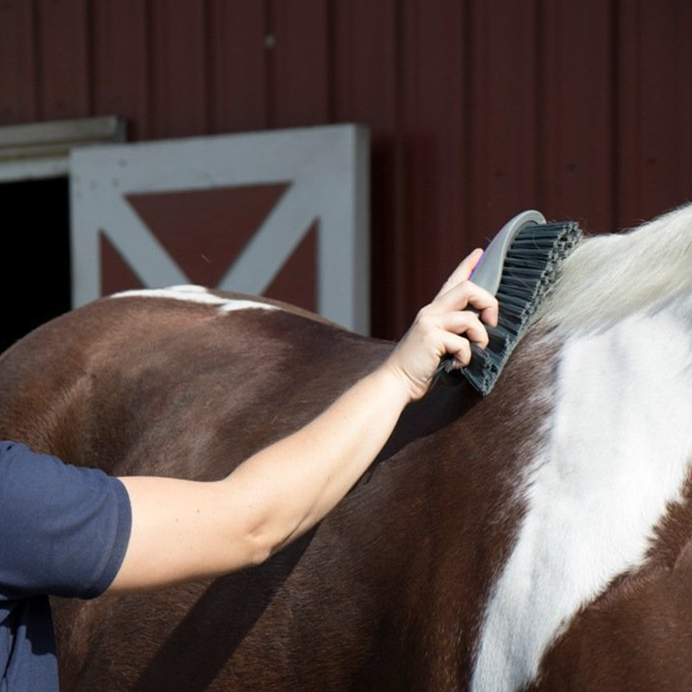 Spazzola per la cura del pelo ergonomica