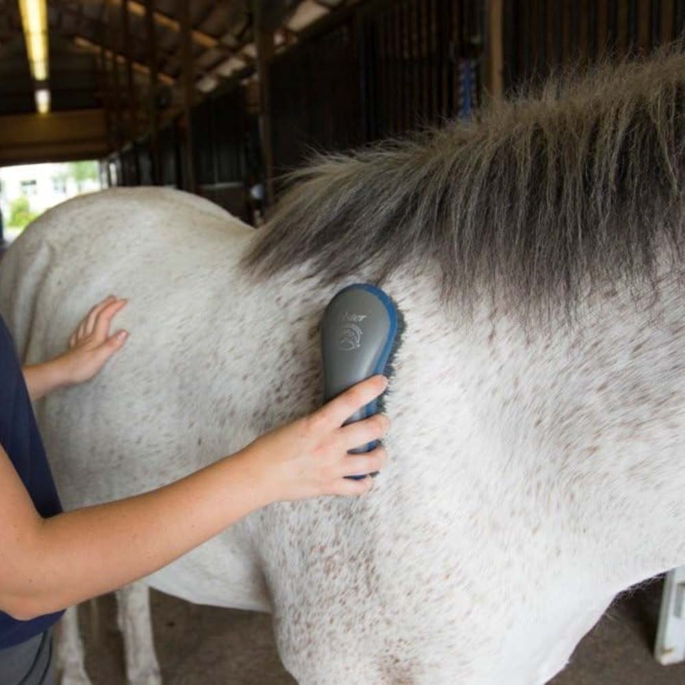 Oster Spazzola per pelo splendente di cavallo