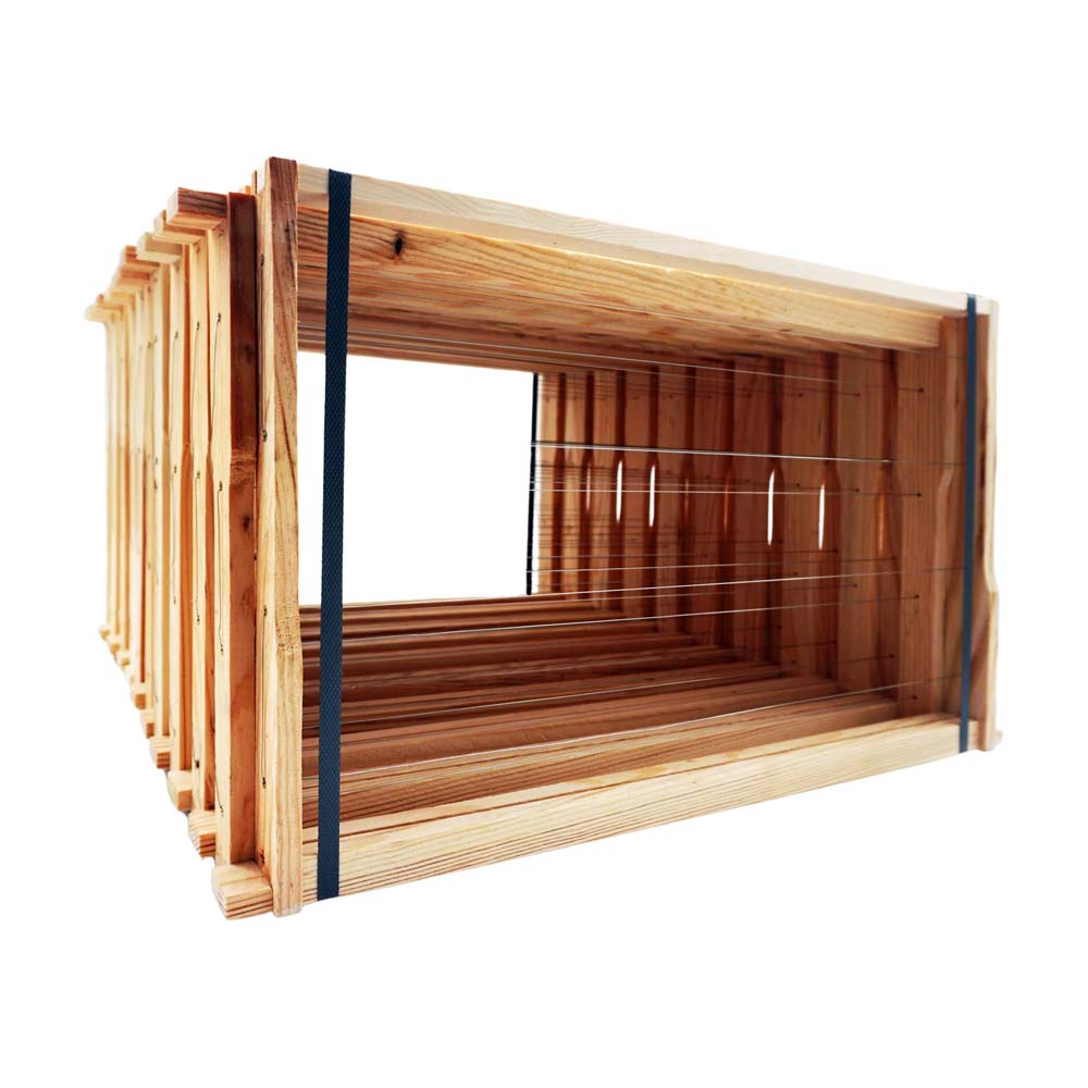 cornici EWG lucioperca