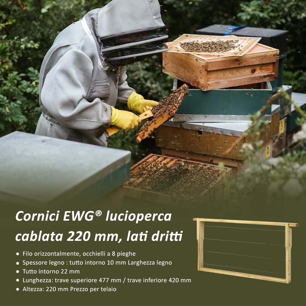 telaini cablati apicoltura