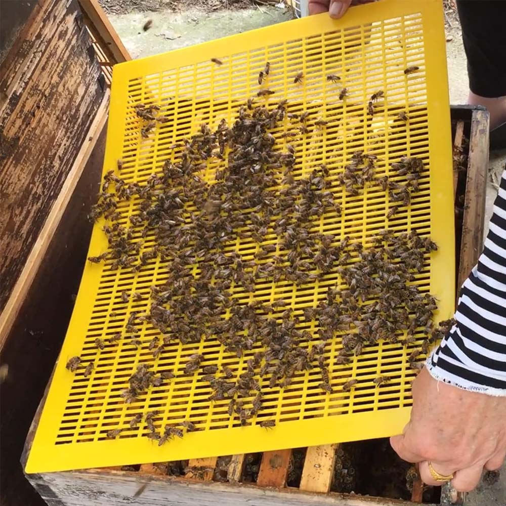 Griglia plastica Nicot escludiregina