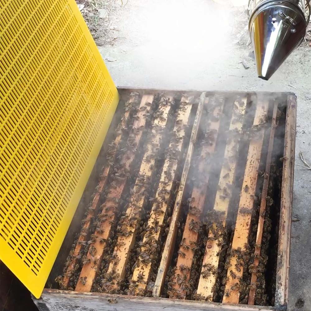 Griglia plastica Nicot escludiregina