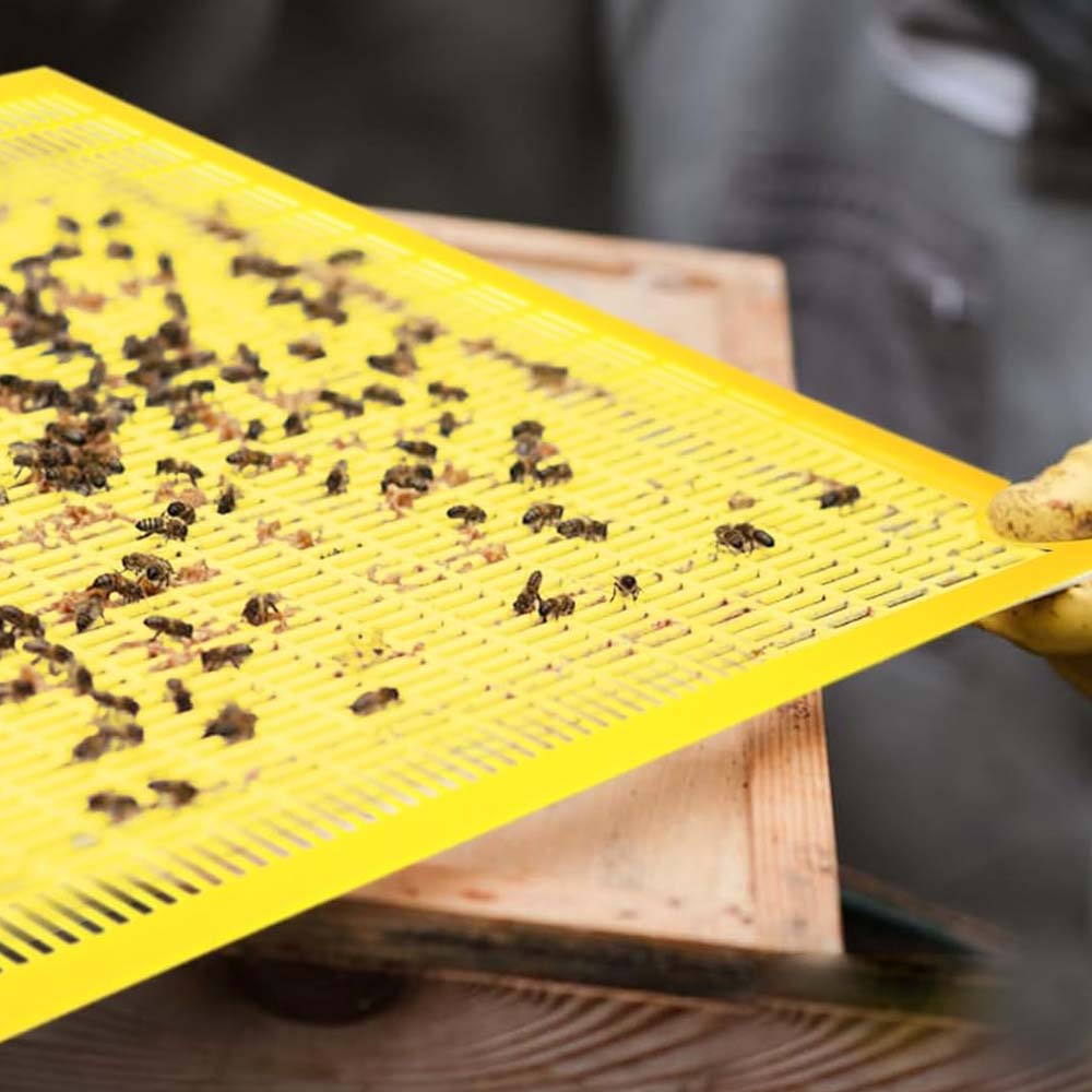 Griglia plastica Nicot escludiregina