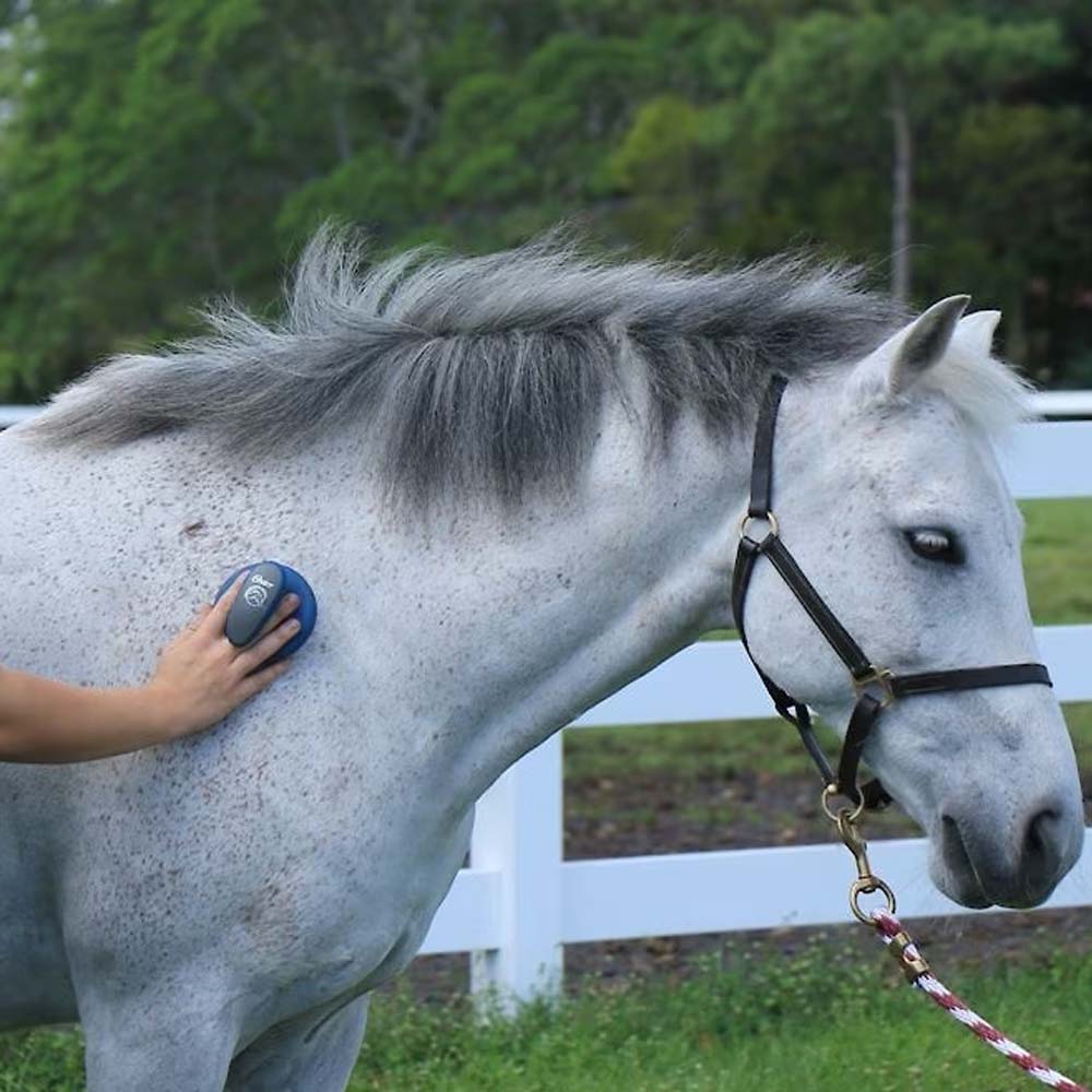 Oster striglia gomma fine per cavalli