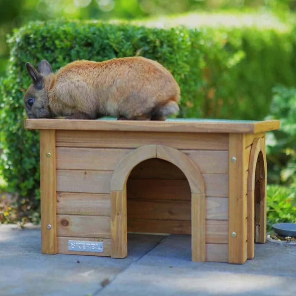 Casetta per Roditori con Tetto Resistente