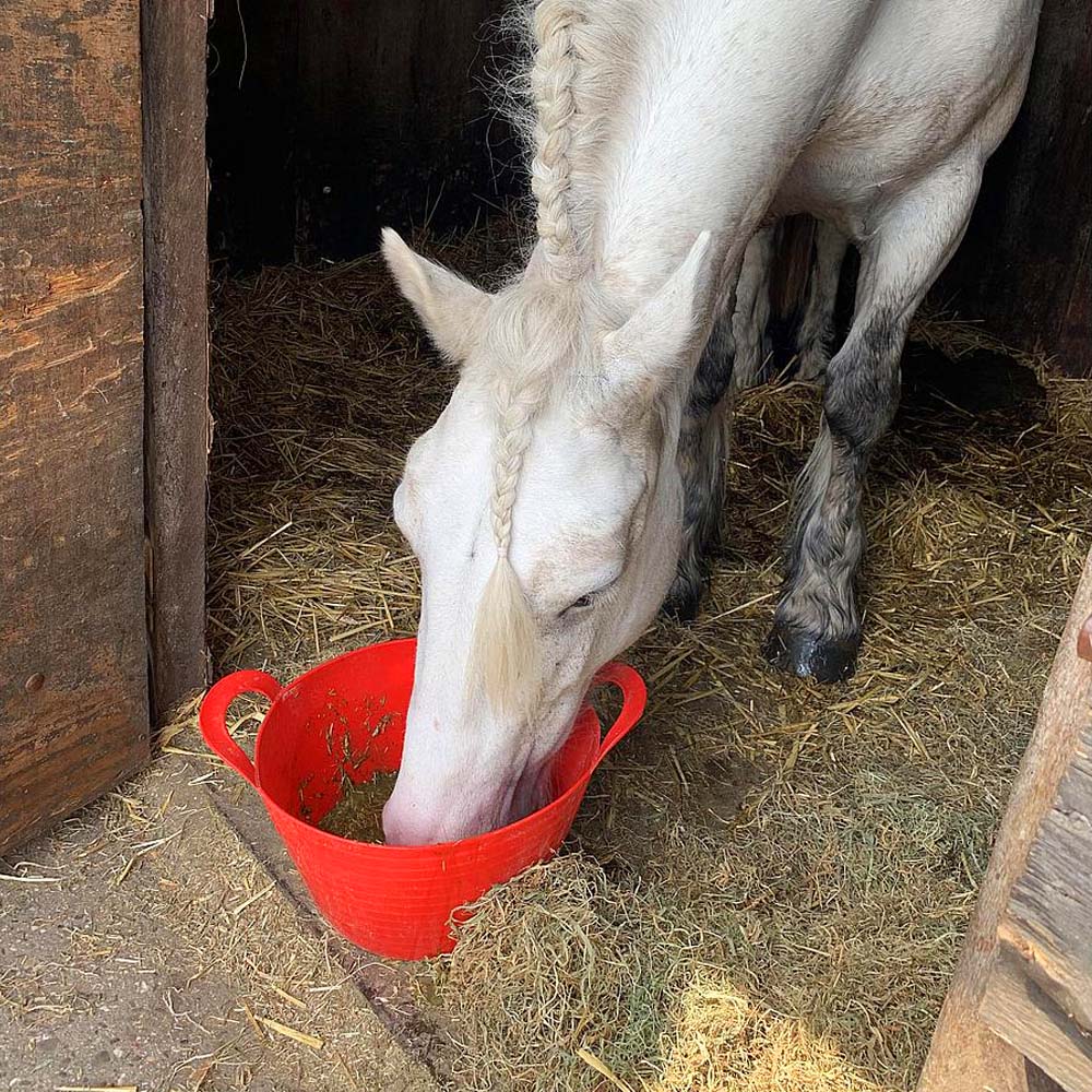 secchio ravene flessibile