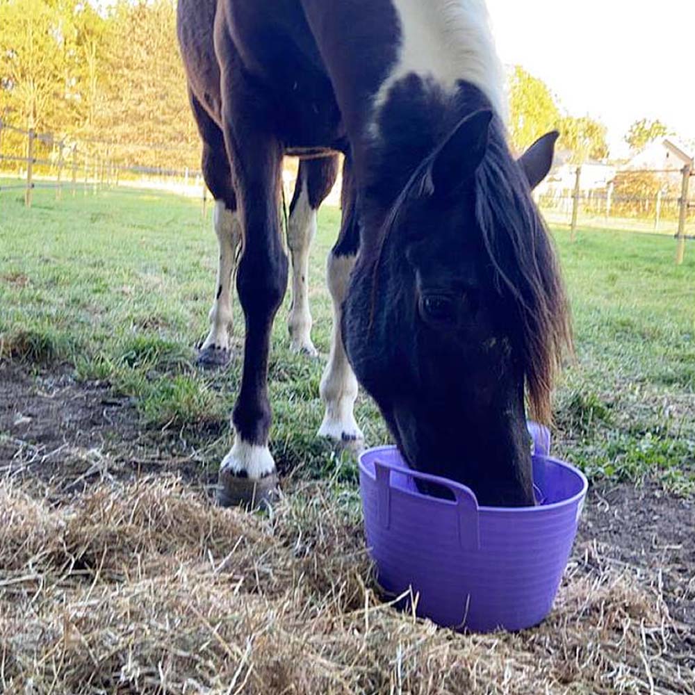 Secchio in plastica flessibile