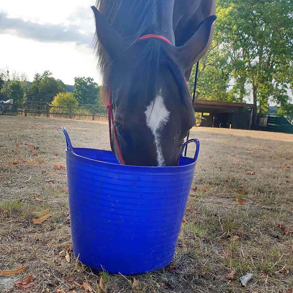 Secchio in plastica flessibile