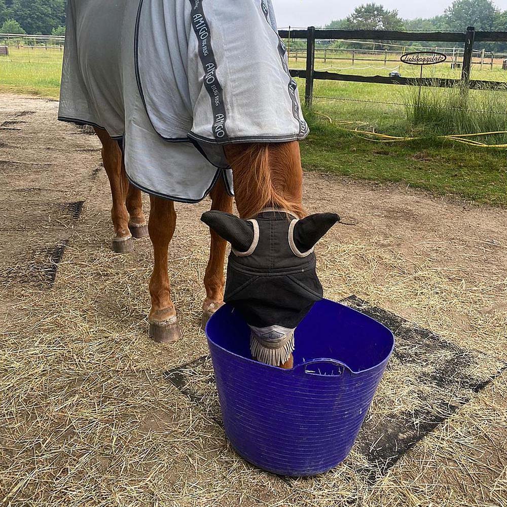 Secchio in plastica flessibile